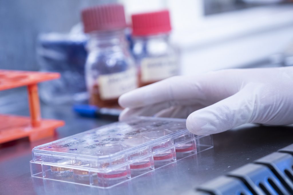 iPS Core Stamcellen Lab 0921-024