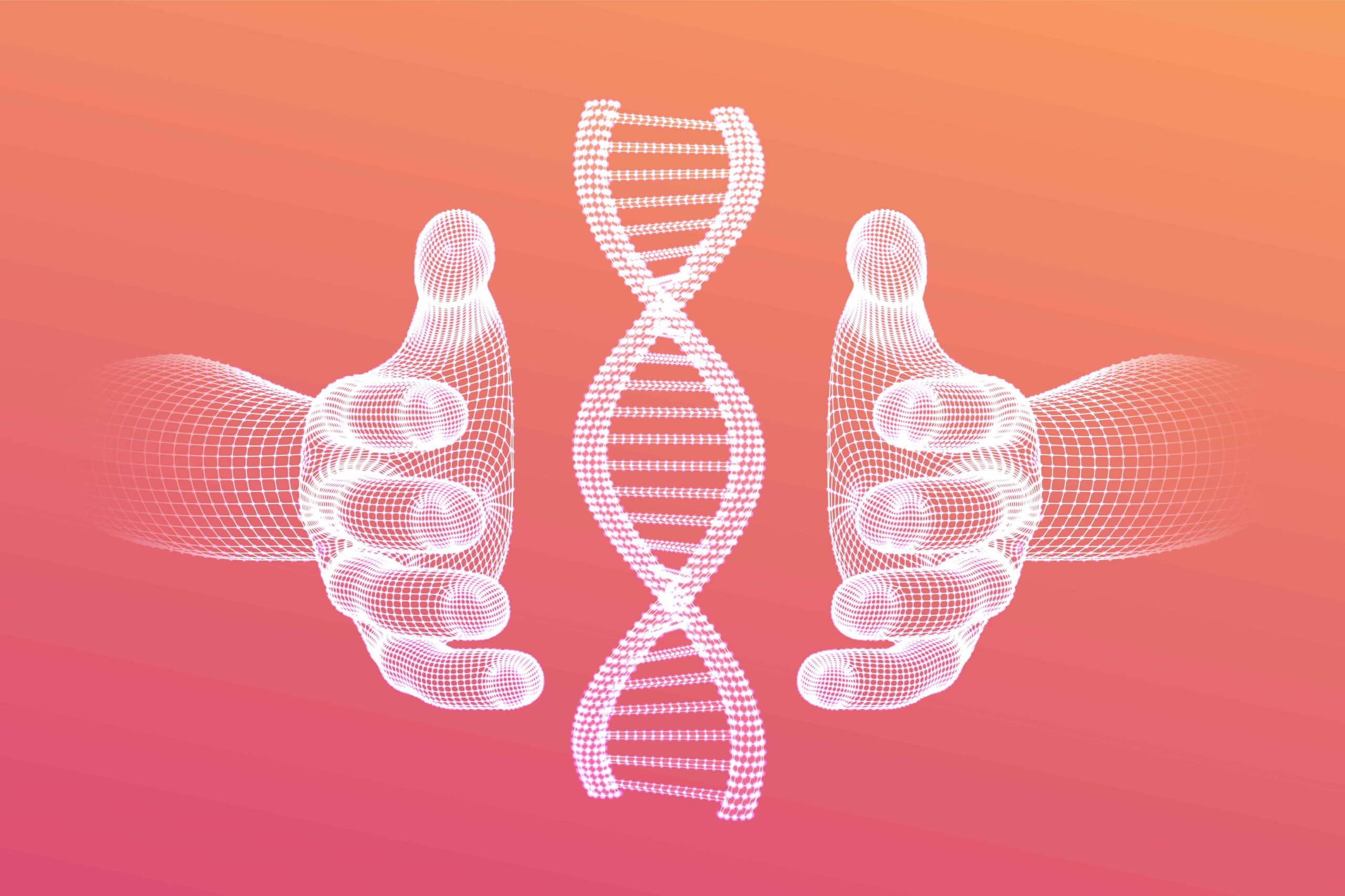 Ontdekking: file op het DNA zorgt voor veroudering