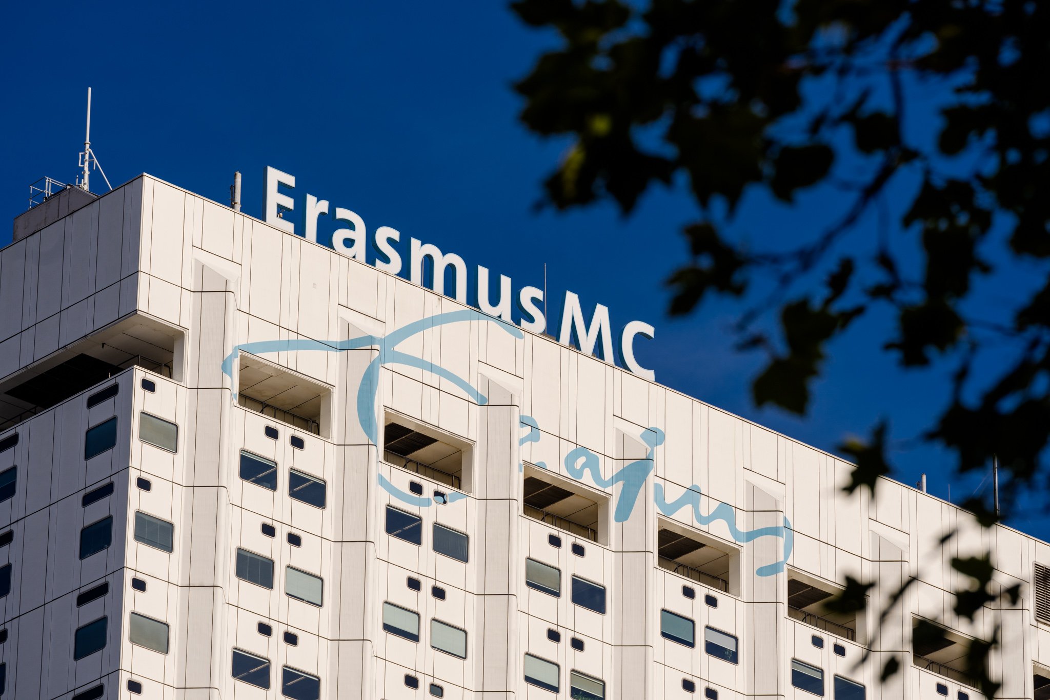 Two Erasmus MC spin-offs participate in Venture Challenge Fall 2024